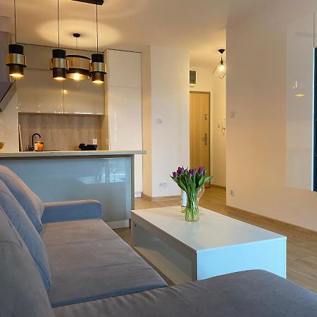 Comfortable Apartaments & Free Parking Gorzow Wielkopolski Exterior photo